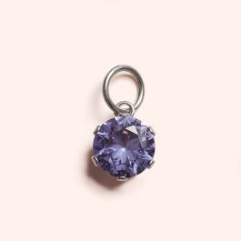 February Birthstone Charm