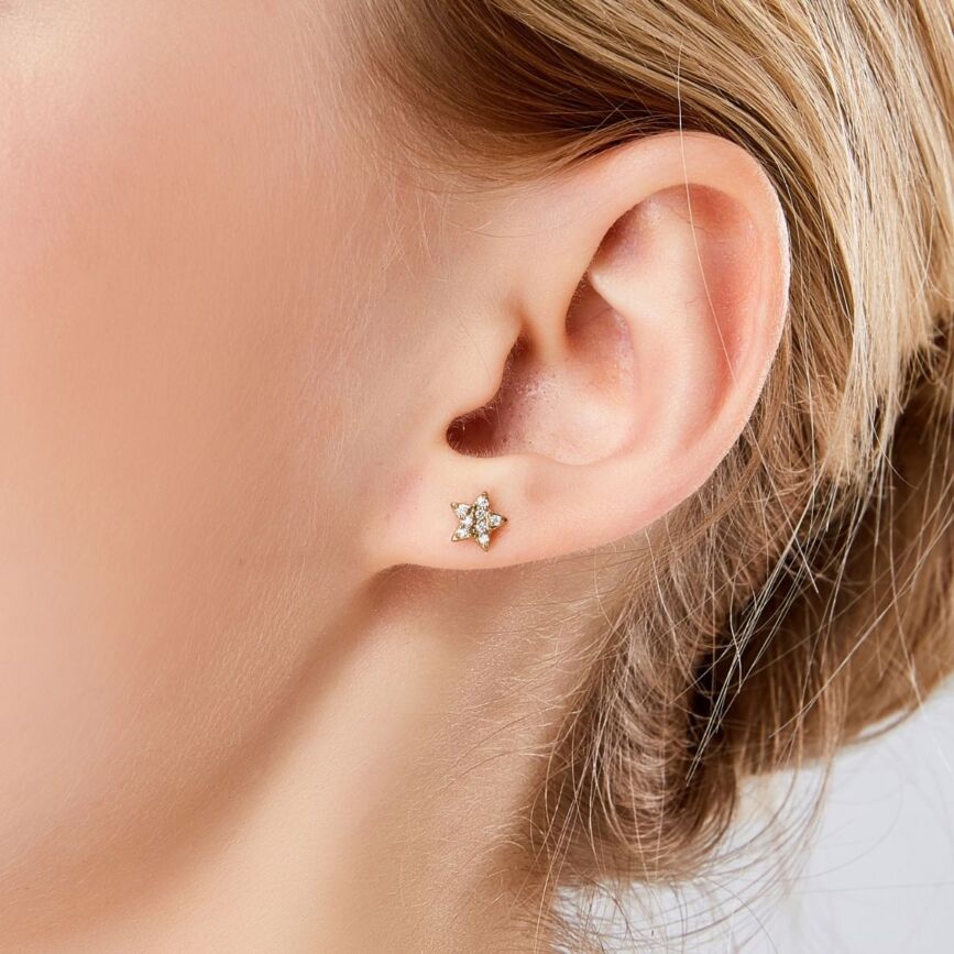 Trilogy Star ear studs