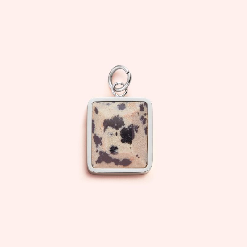 Dalmatian Jasper charm